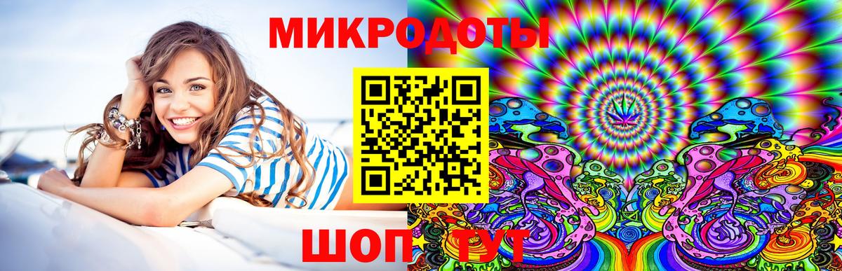 Галлюциногенные грибы Psilocybine cubensis  хочу   Егорьевск  Вход с VPN 